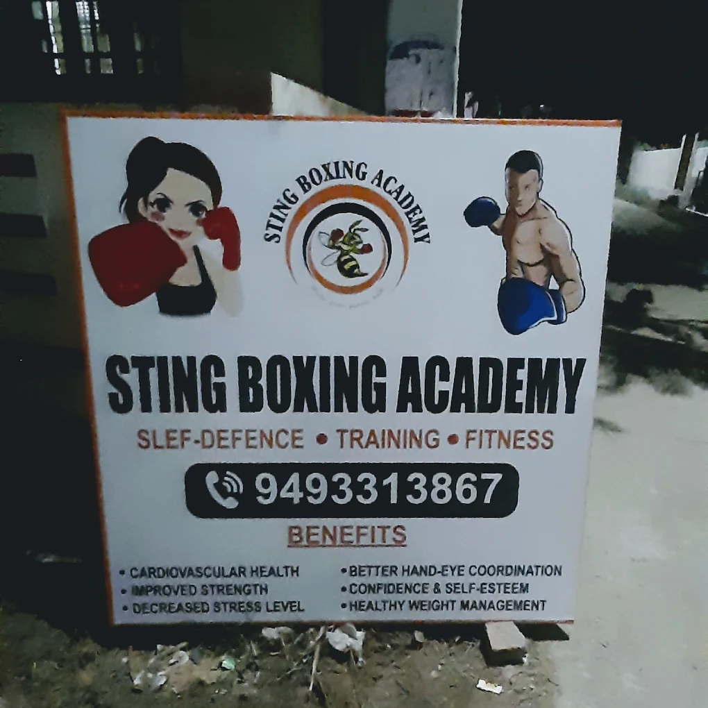 Sting Boxing  Academy