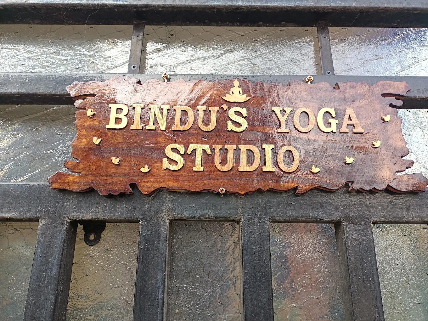 Bindu's Yoga  Studio