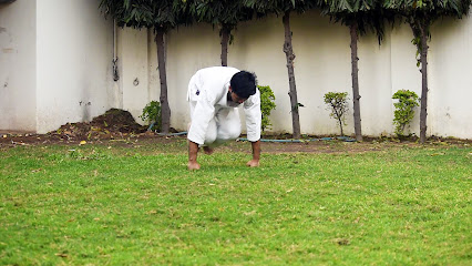 LEO Martial Arts Academy Martical Arts School