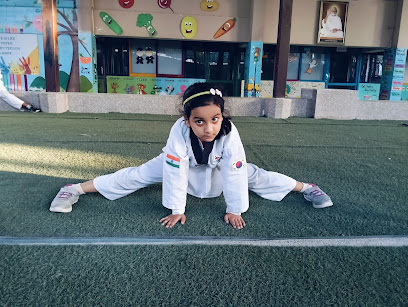 Best Taekwondo & Yoga Academy Martical Arts Academy