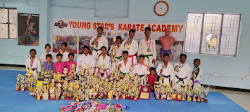 Young Stars Karate  Academy