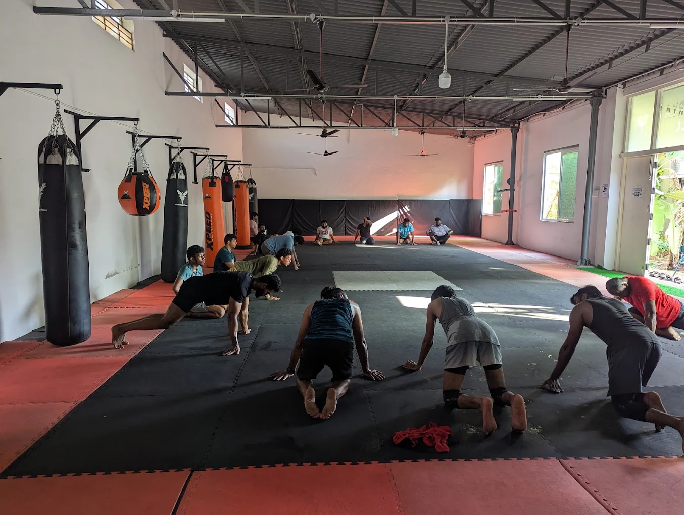 Fit to Fight Focus  MMA