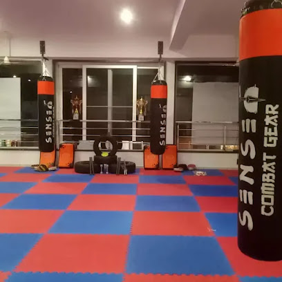 Sensei Raj Academy Martial Arts School