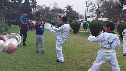 Martial Arts Sports Fitness Academy ( ANIL NANDA ) Martial Arts Sports Fitness Academy ( ANIL NANDA )
